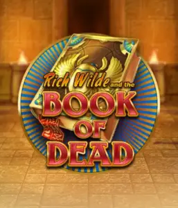 Enter the thrilling world of Book of Dead by Play'n GO, featuring vivid graphics of Rich Wilde's journey through ancient Egyptian tombs and artifacts. Find lost riches with exciting mechanics like free spins, expanding icons, and a gamble option. Ideal for those seeking adventure with a desire for unearthing secrets.